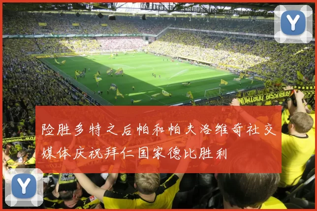 险胜多特之后帕和帕夫洛维奇社交媒体庆祝拜仁国家德比胜利